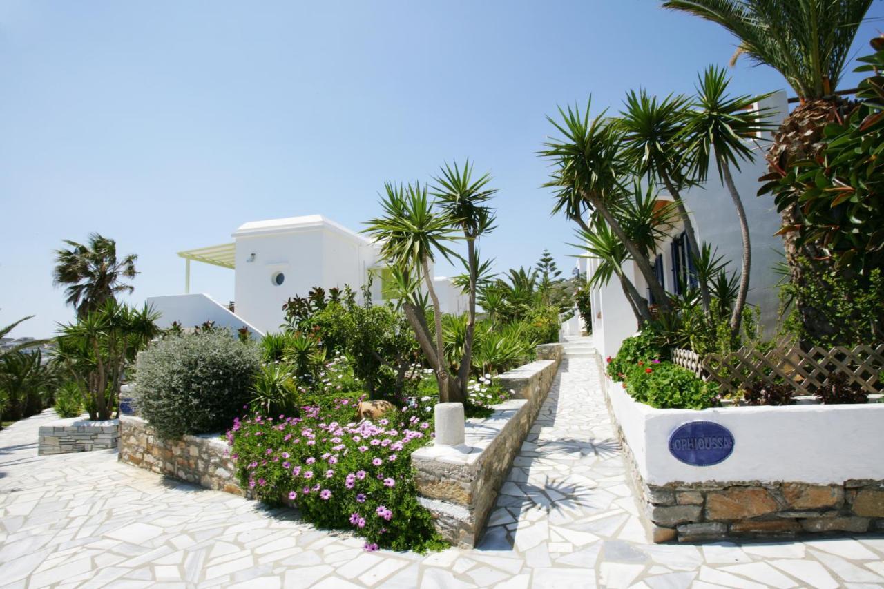 Porto Raphael Residences&Suites Agios Ioannis (Tinos) Exterior foto